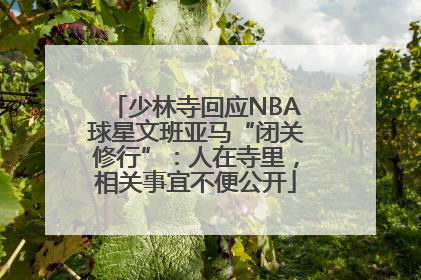 少林寺回应NBA球星文班亚马“闭关修行”:人在寺里,相关事宜不便公开